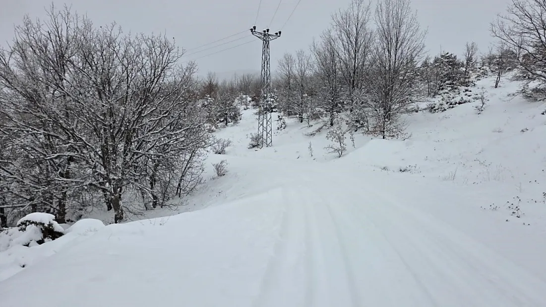311 köy yolu ulaşıma kapandı