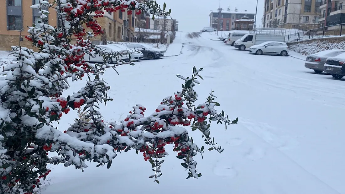 Elazığ kar yağışıyla beyaza büründü