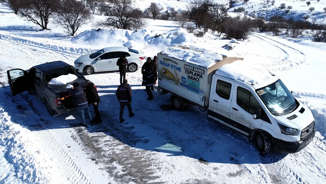 Karlı yollar açılıyor, sahipsiz hayvanlar besleniyor