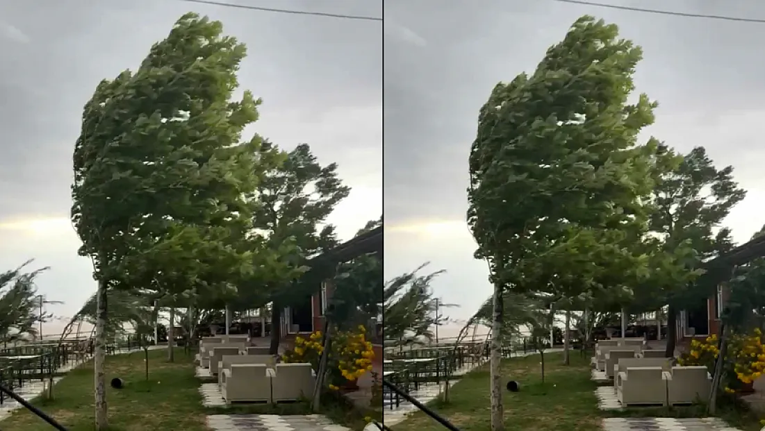 Palu'da fırtına etkili oldu