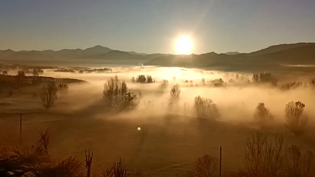 Tunceli'de 'sis' şöleni
