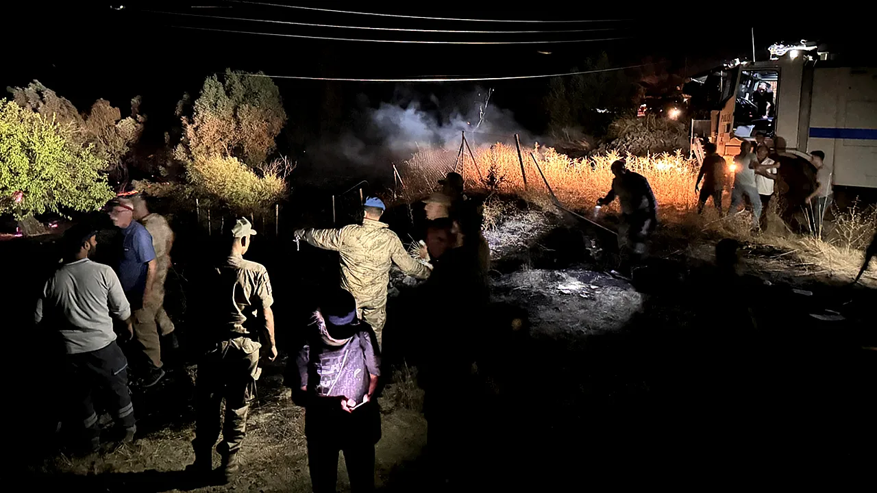 Tunceli'de ormanlık alanda yangın