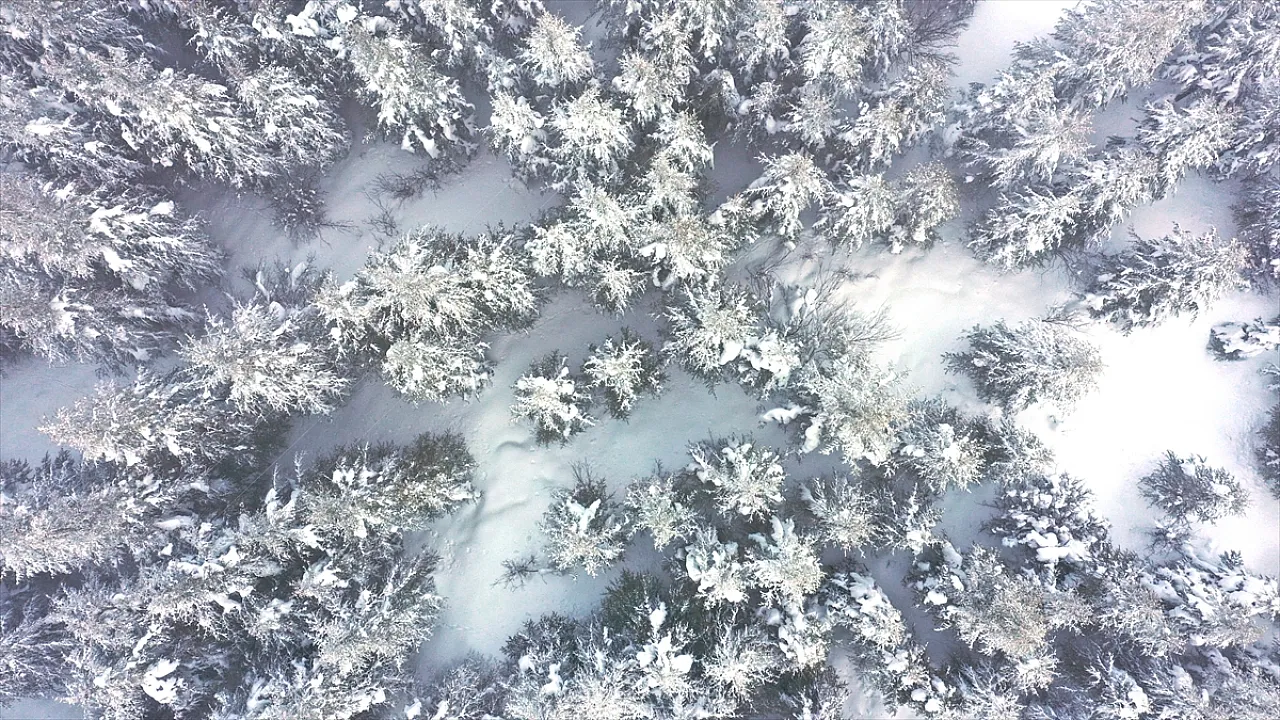 Elazığ'da kar manzaraları
