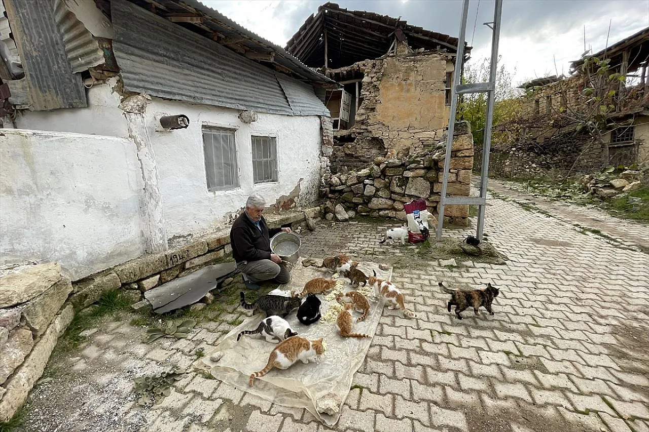 Muhtar Özdem, kedilere torunları gibi bakıyor