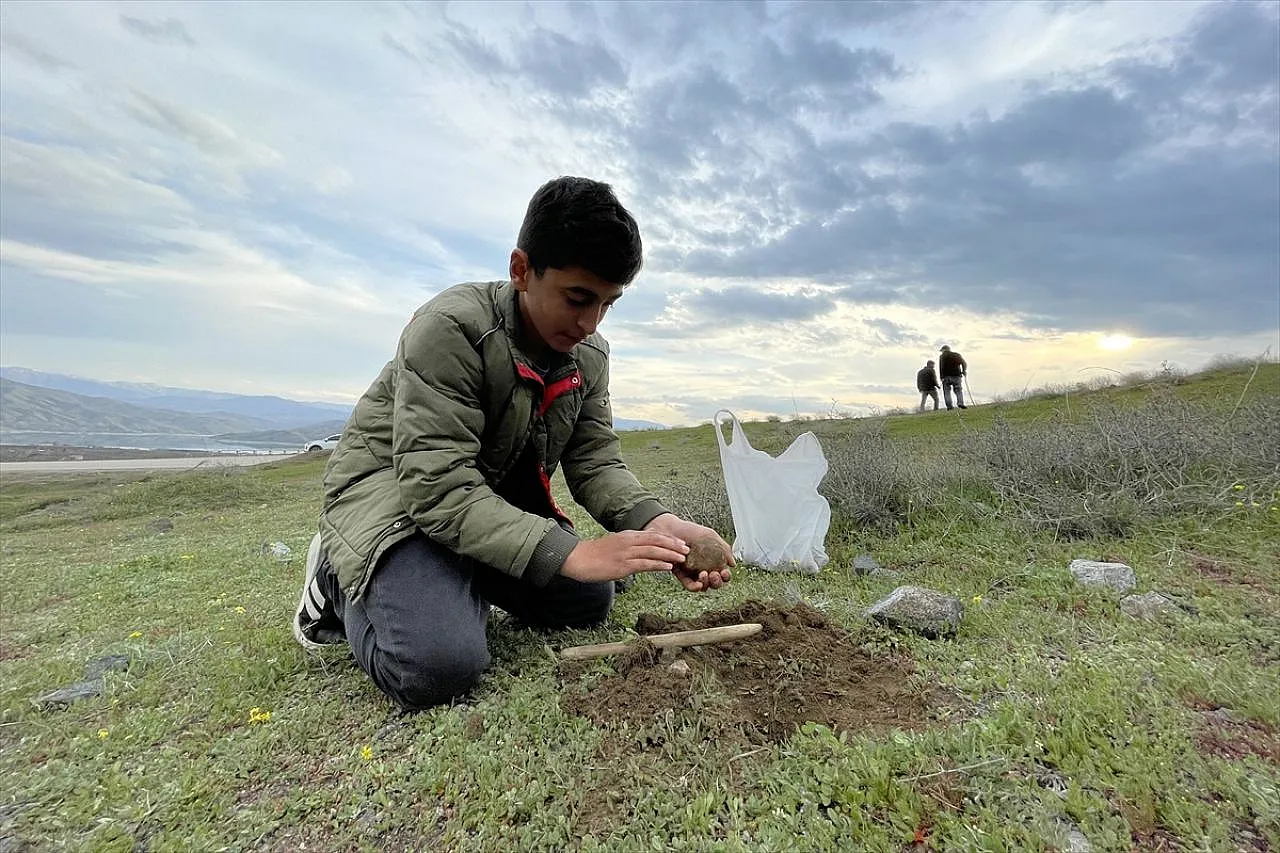 Kumi mantarı köylünün ekonomisine katkı sağlıyor