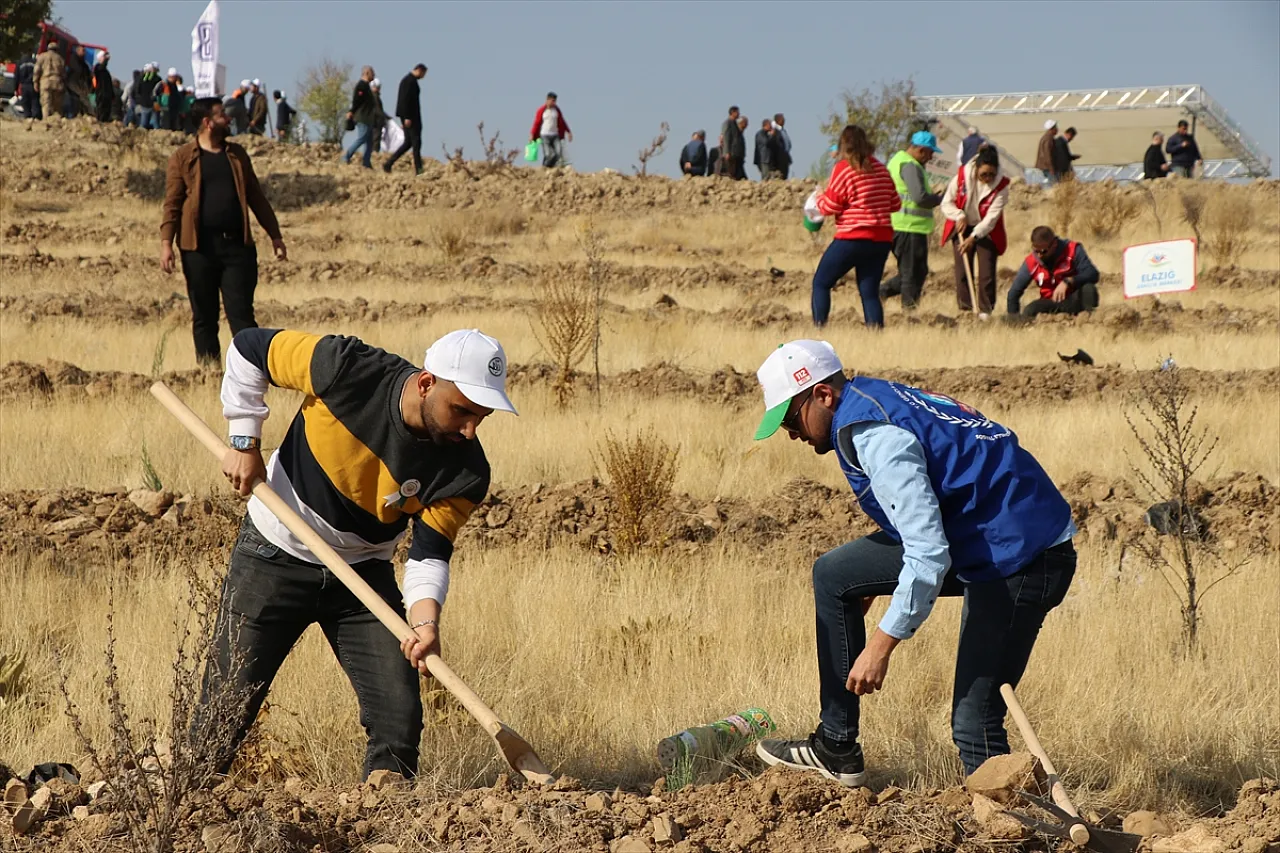 Elazığ'da fidanlar toprakla buluştu