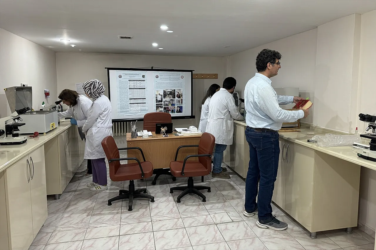 'Nosema' hastalığına karşı iyileştirici etkisi saptandı