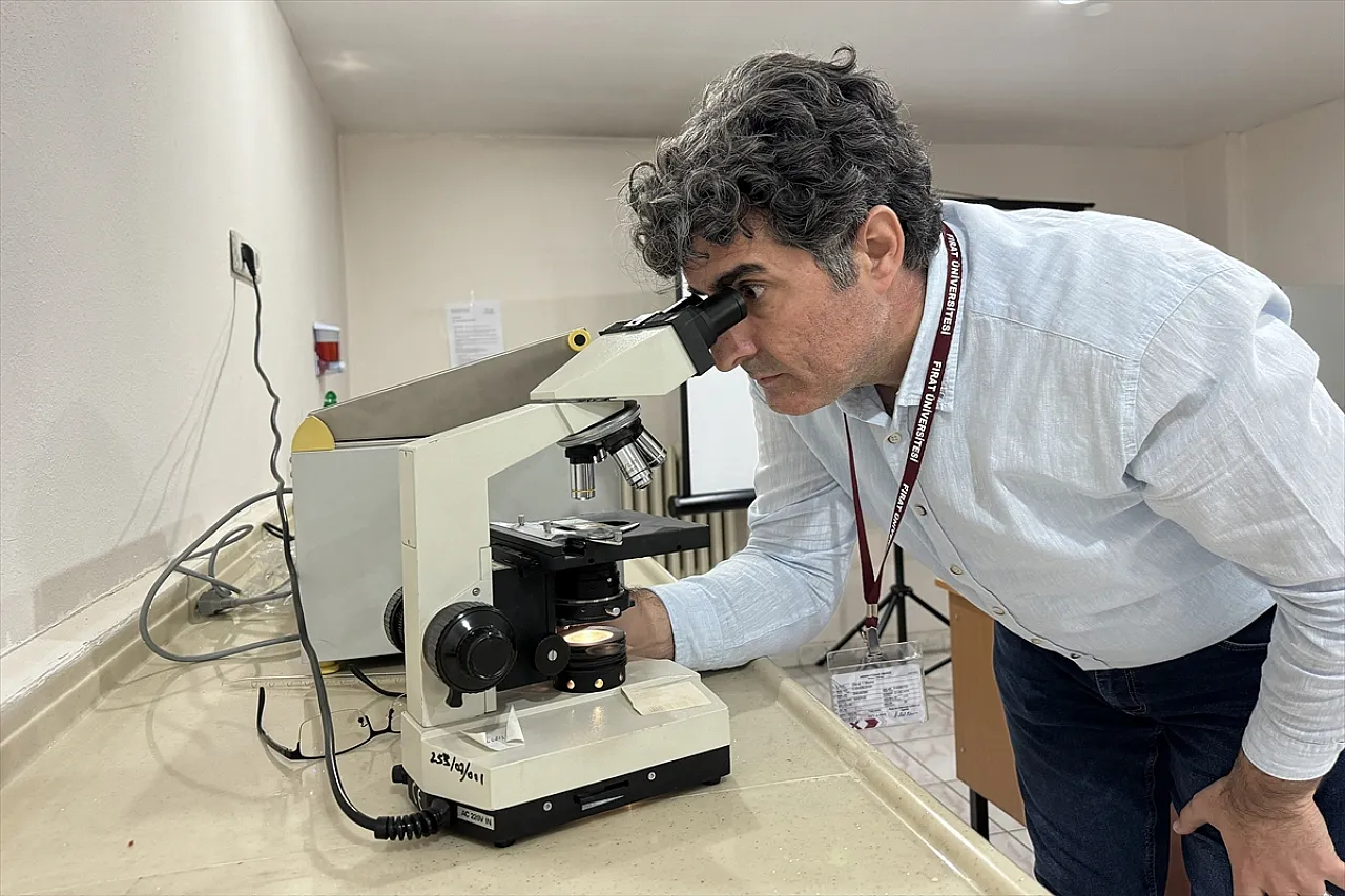 'Nosema' hastalığına karşı iyileştirici etkisi saptandı