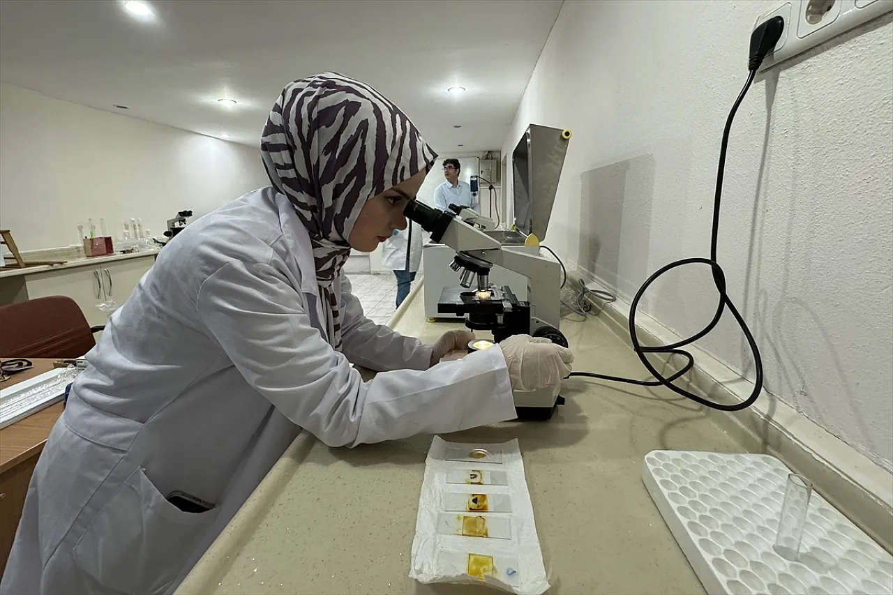 'Nosema' hastalığına karşı iyileştirici etkisi saptandı