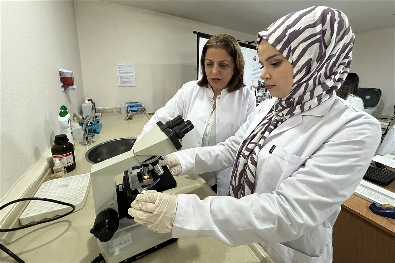 'Nosema' hastalığına karşı iyileştirici etkisi saptandı