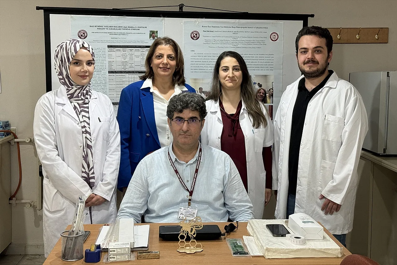 'Nosema' hastalığına karşı iyileştirici etkisi saptandı