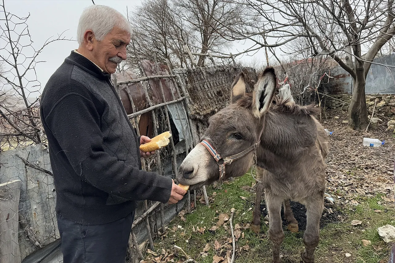 'Minik' adını verdiği eşeğe 21 yıldır şefkatle bakıyor
