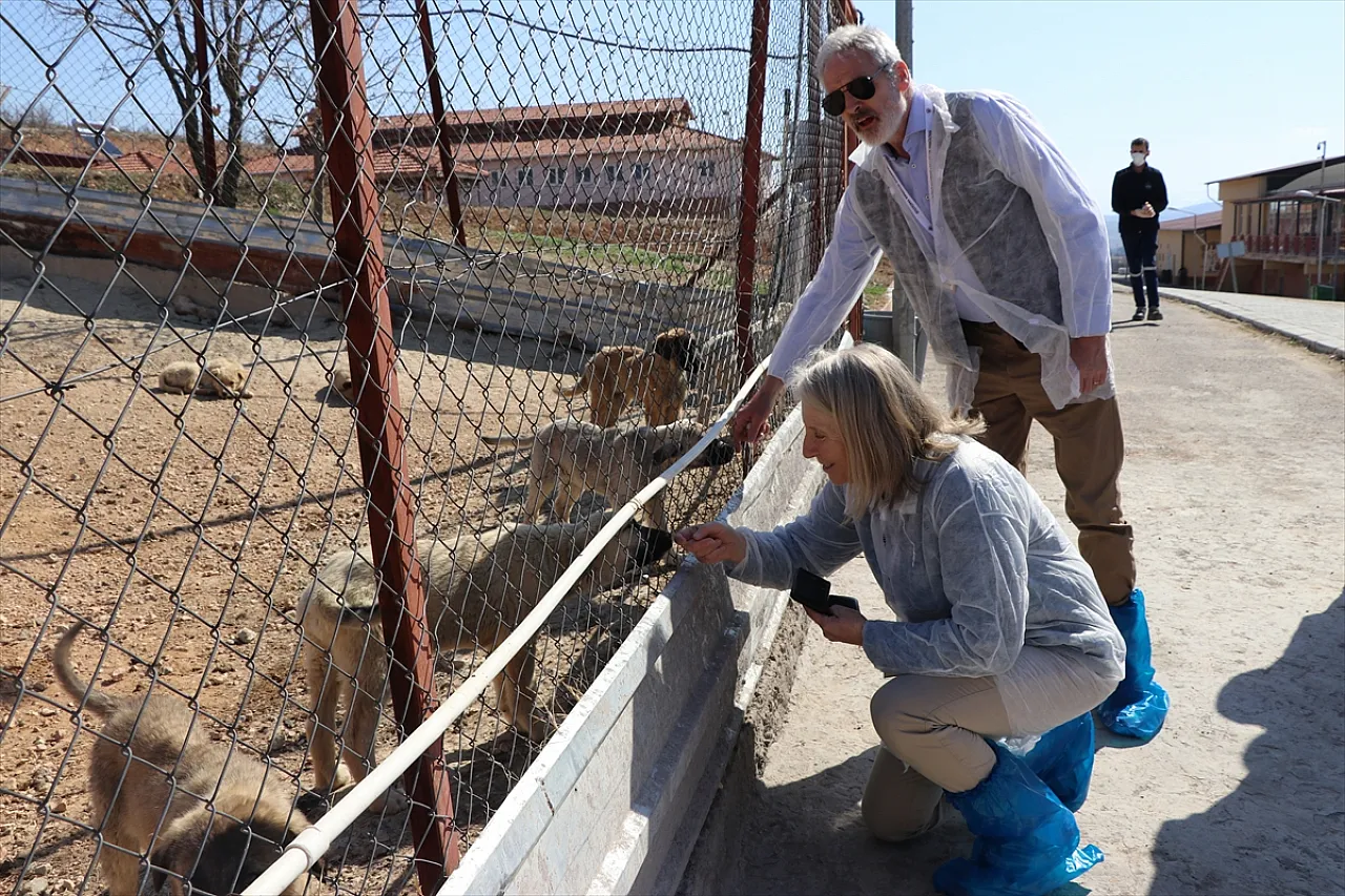 Avrupalı uzmanlar Elazığ'da