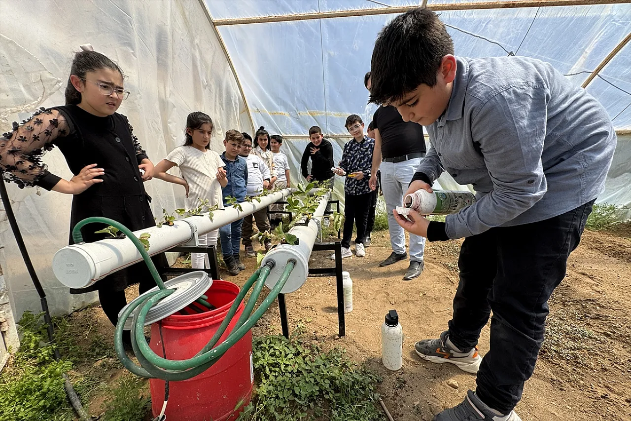 Minik çiftçiler iş başında