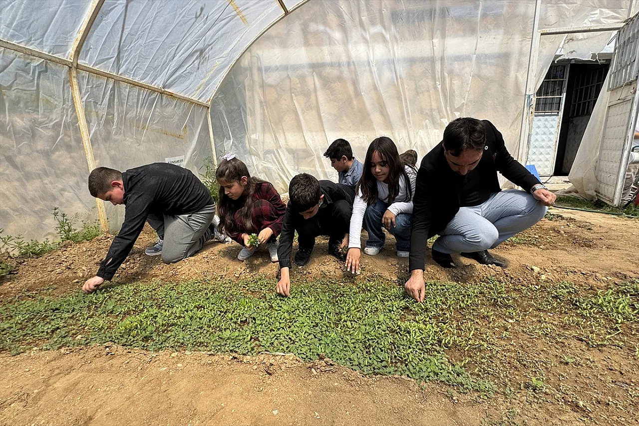 Minik çiftçiler iş başında
