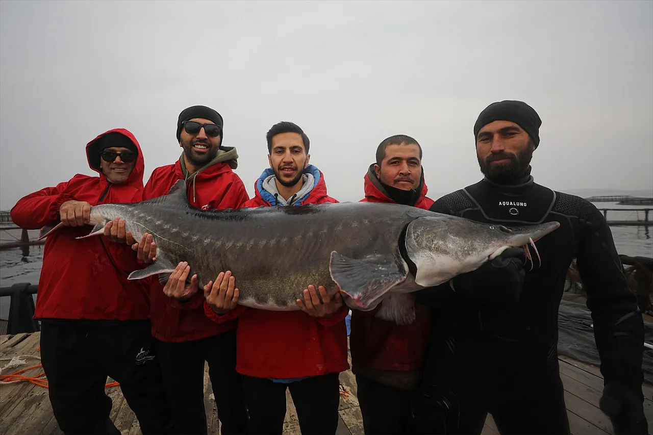 Elazığ'daki tesis üretim üssü olmak için çalışıyor