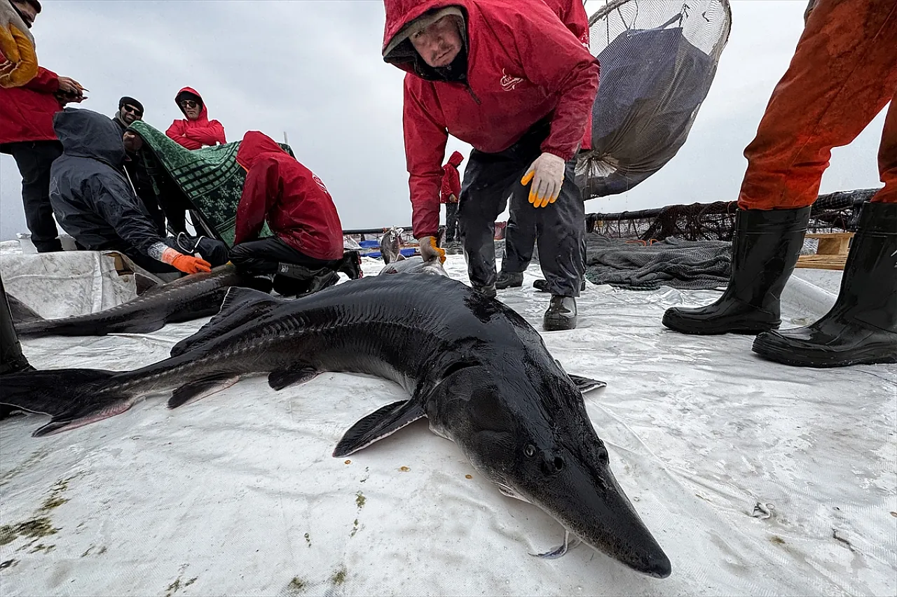 Elazığ'daki tesis üretim üssü olmak için çalışıyor