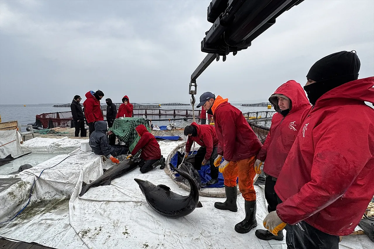 Elazığ'daki tesis üretim üssü olmak için çalışıyor