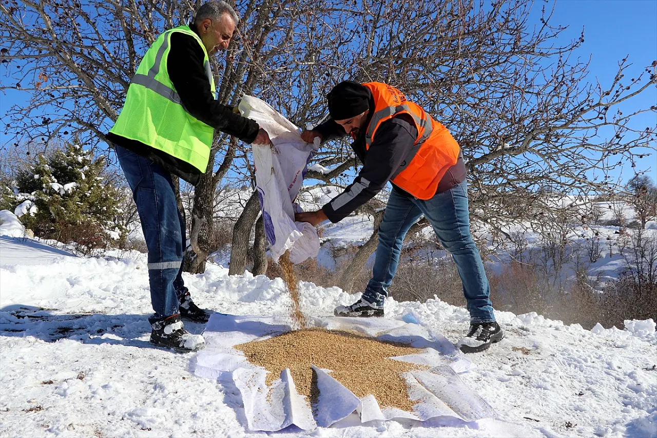 Karlı yollar açılıyor, sahipsiz hayvanlar besleniyor