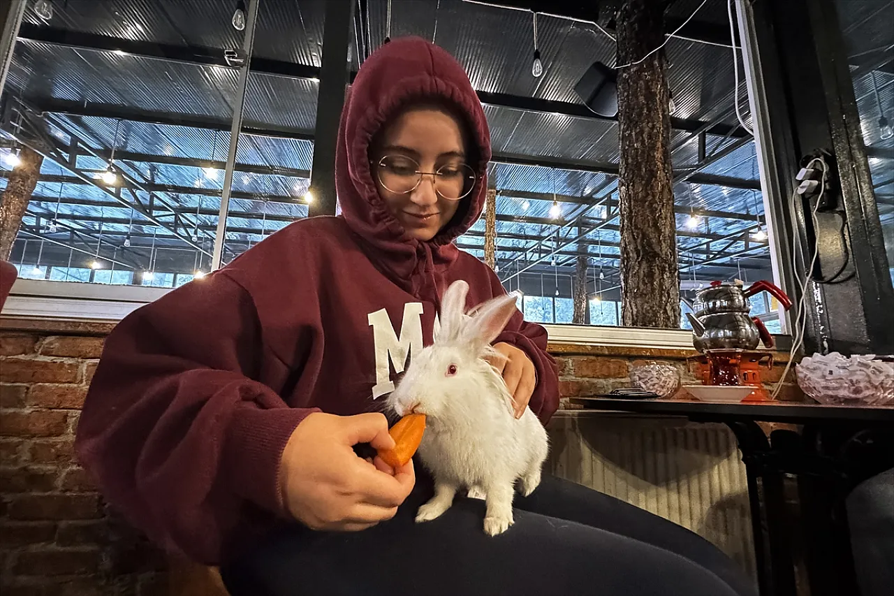 Tavşan 'Tombiş' kafenin maskotu oldu