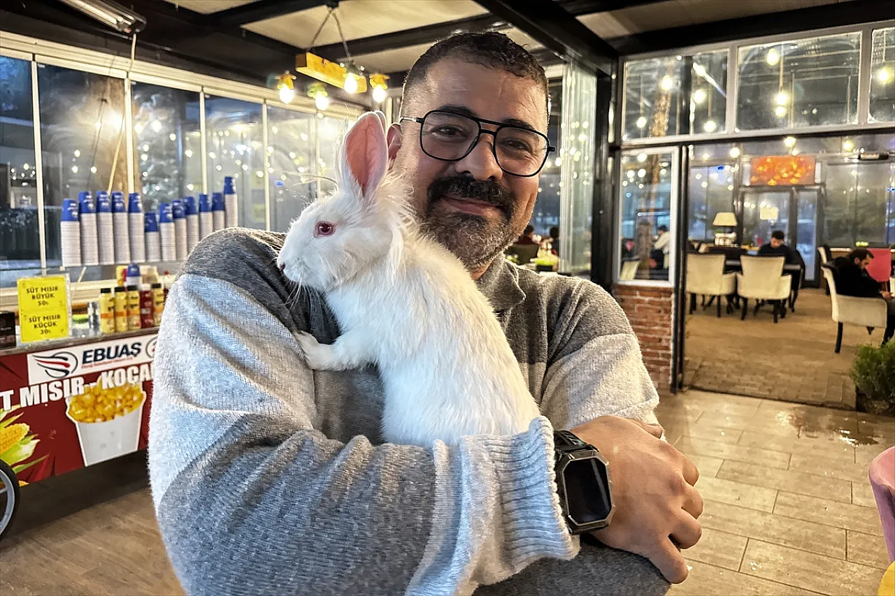 Tavşan 'Tombiş' kafenin maskotu oldu