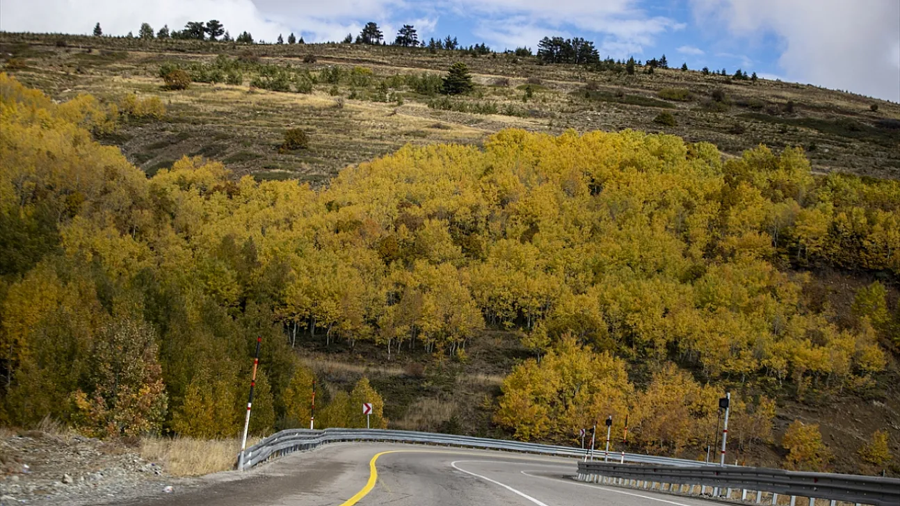 Kop Dağı'nda sonbahar