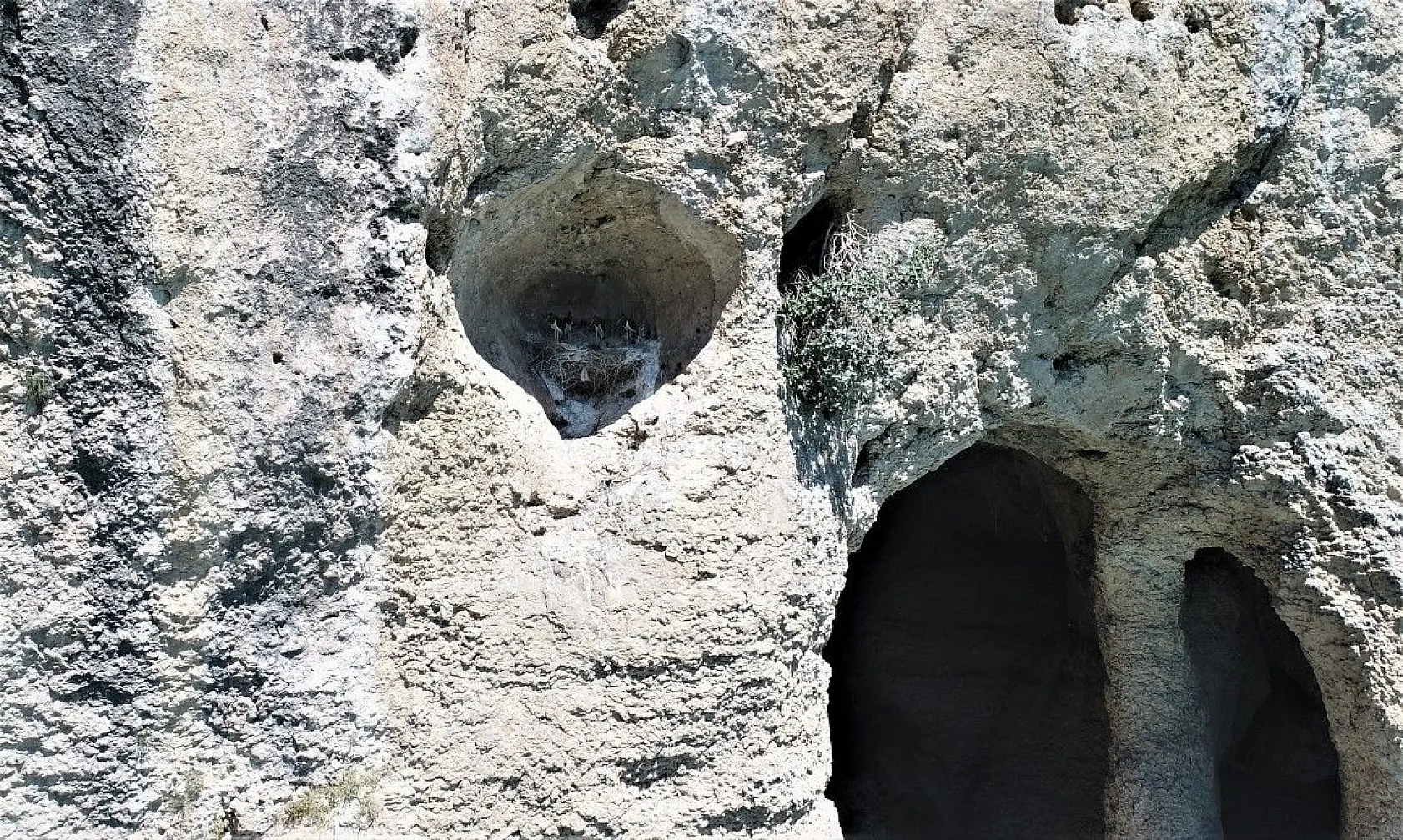 Yeni keşif 'Kara Leylek Kanyonu'