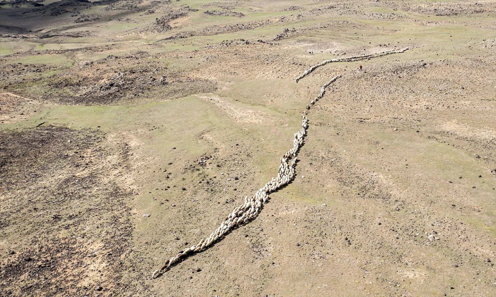 Terörden arındırılan 'Tendürek Dağı...'