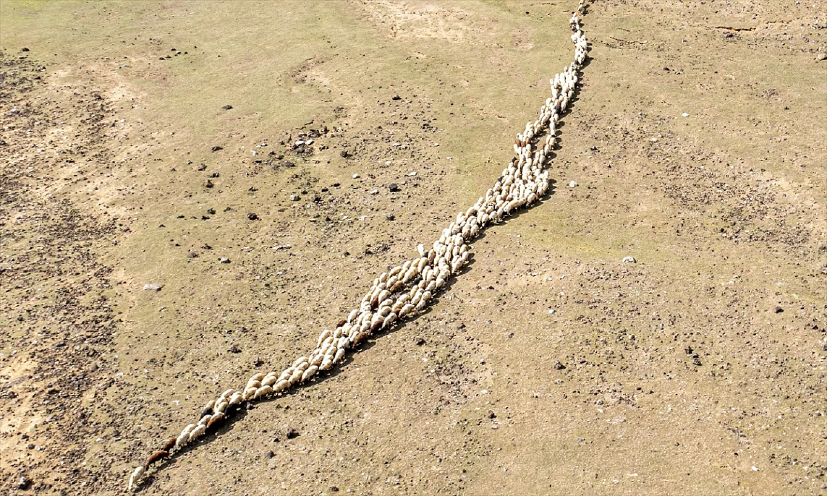 Terörden arındırılan 'Tendürek Dağı...'