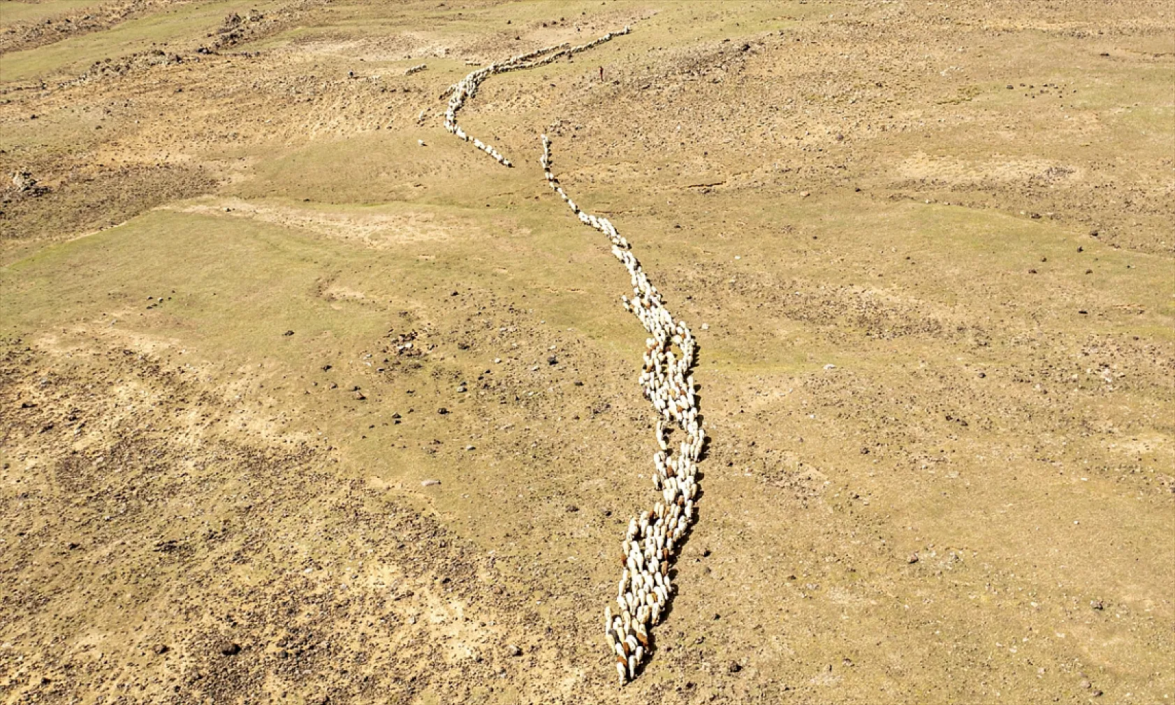 Terörden arındırılan 'Tendürek Dağı...'
