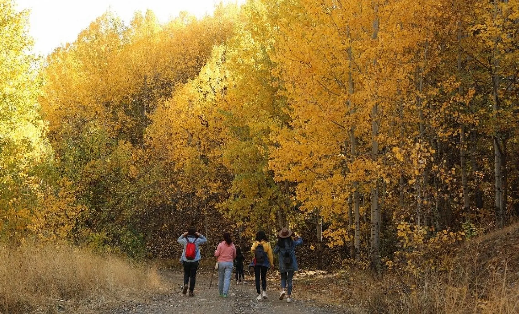 Tunceli'de sonbaharla gelen 'Renk Cümbüşü'