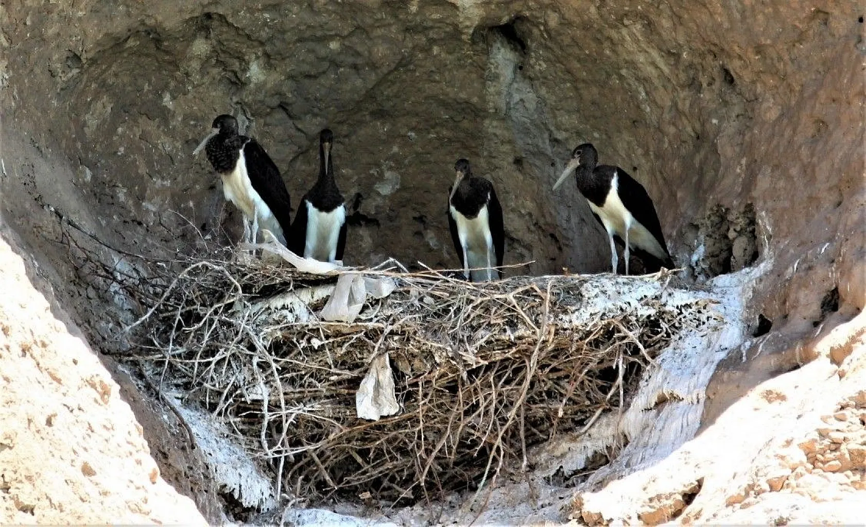 Yeni keşif 'Kara Leylek Kanyonu'