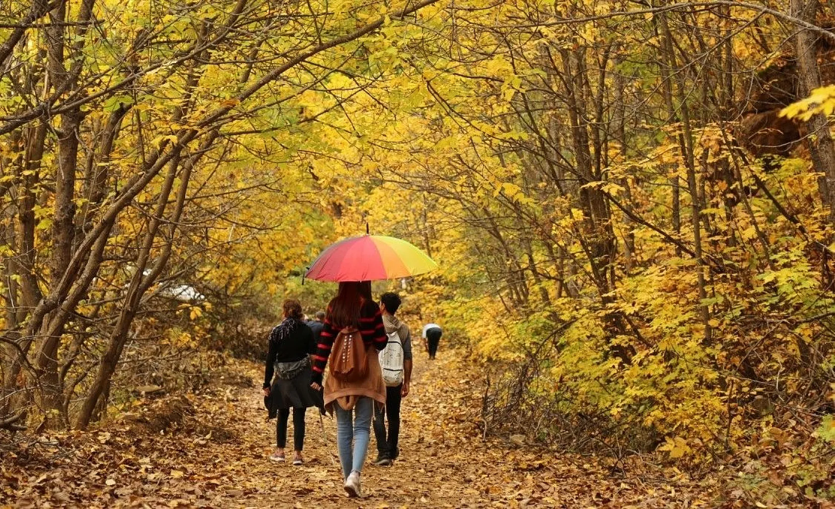 Tunceli'de sonbaharla gelen 'Renk Cümbüşü'