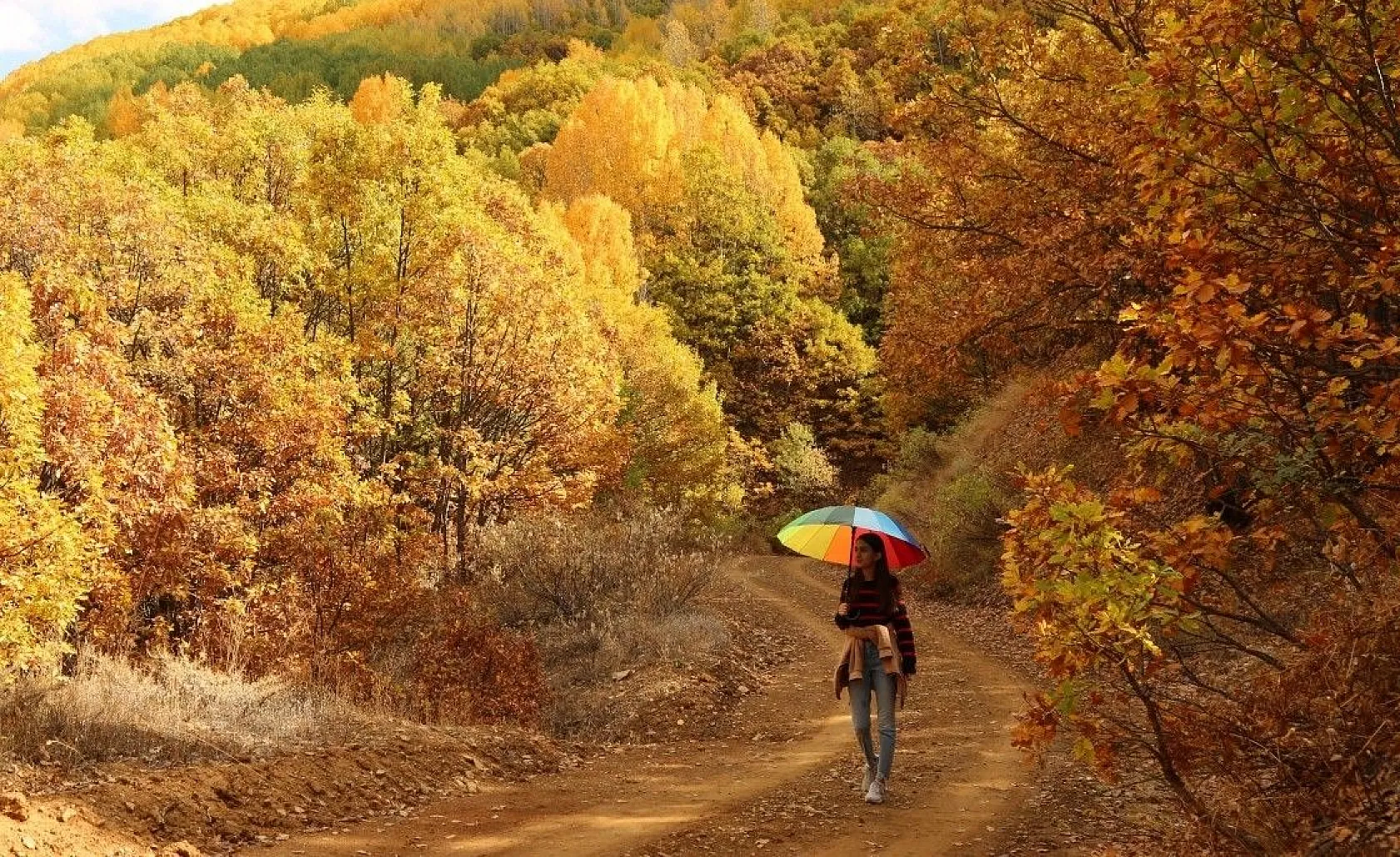 Tunceli'de sonbaharla gelen 'Renk Cümbüşü'