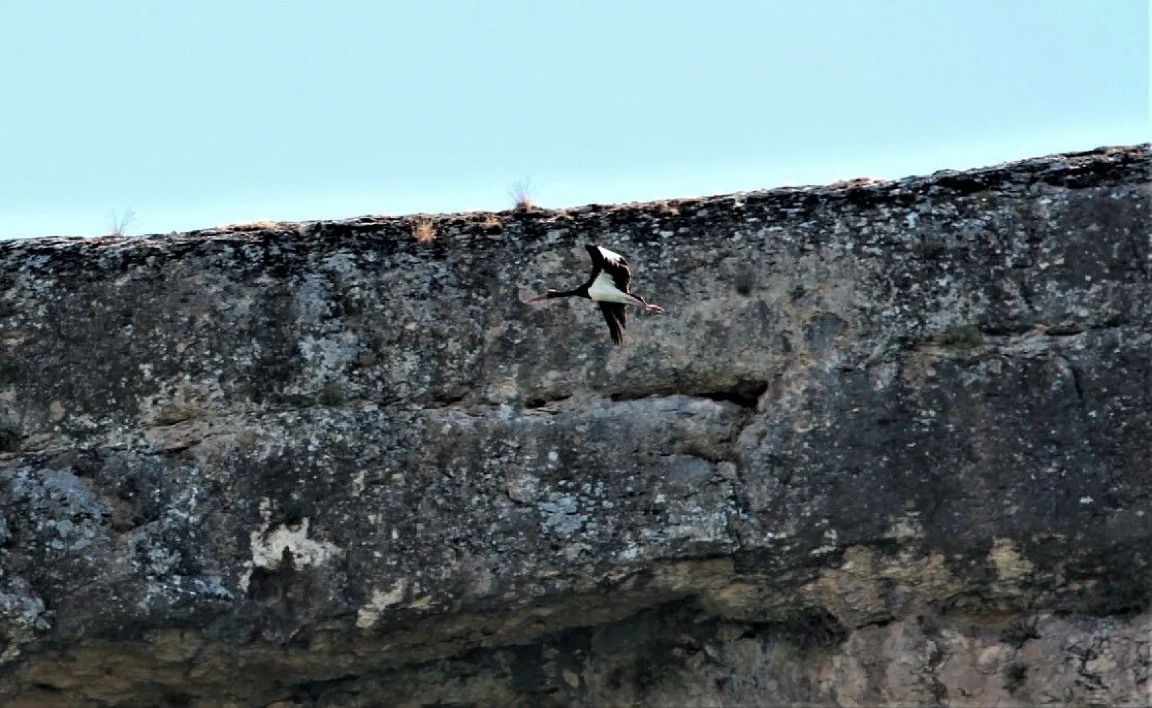 Yeni keşif 'Kara Leylek Kanyonu'