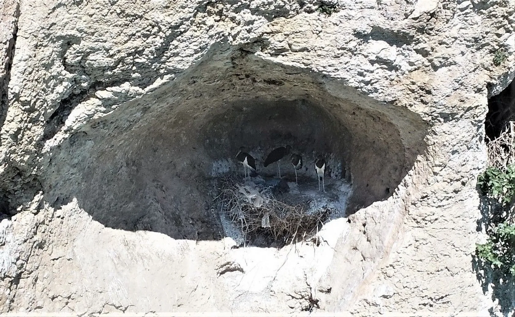 Yeni keşif 'Kara Leylek Kanyonu'