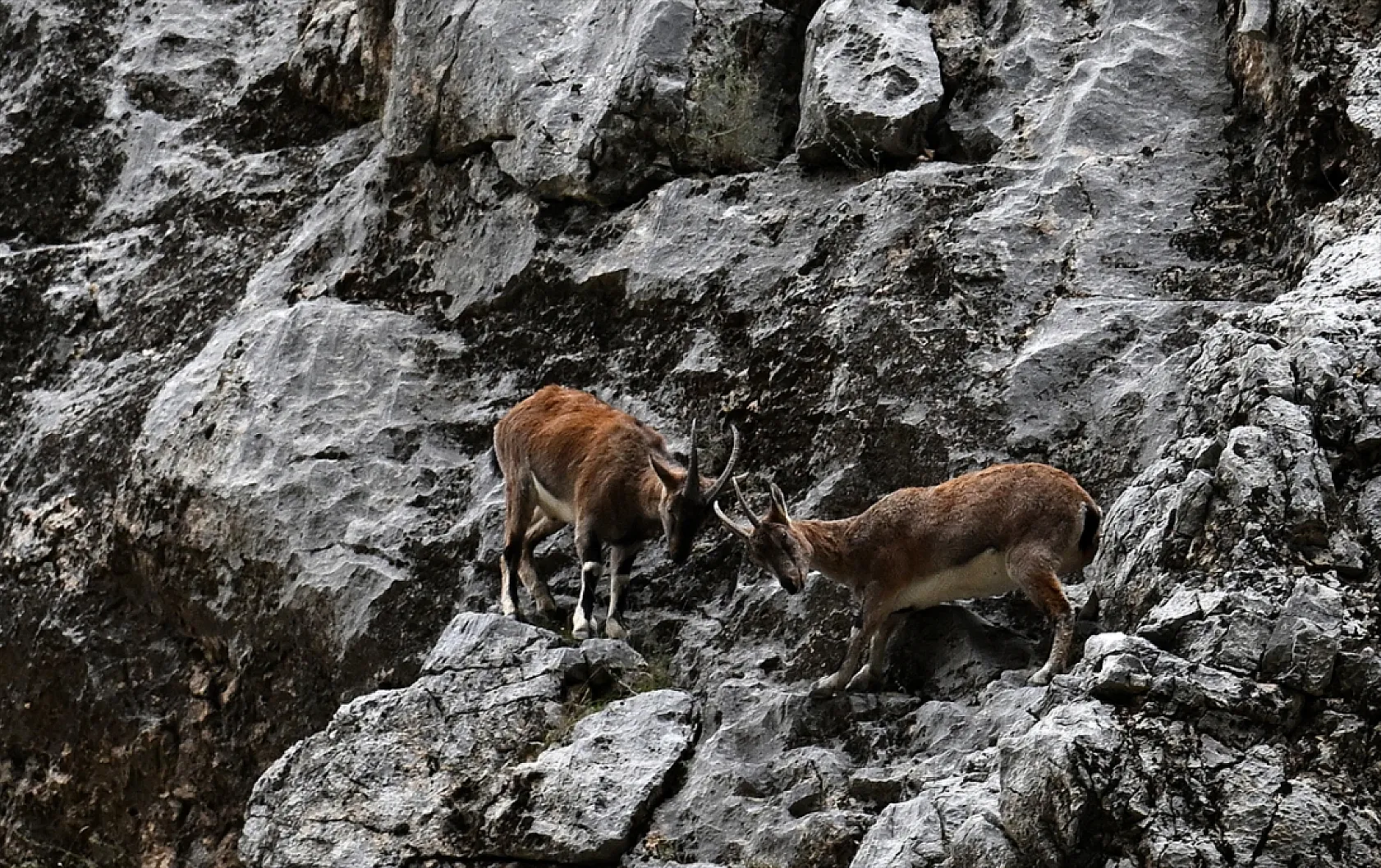 Karanlık Kanyonu ziyaretçilerini büyülüyor