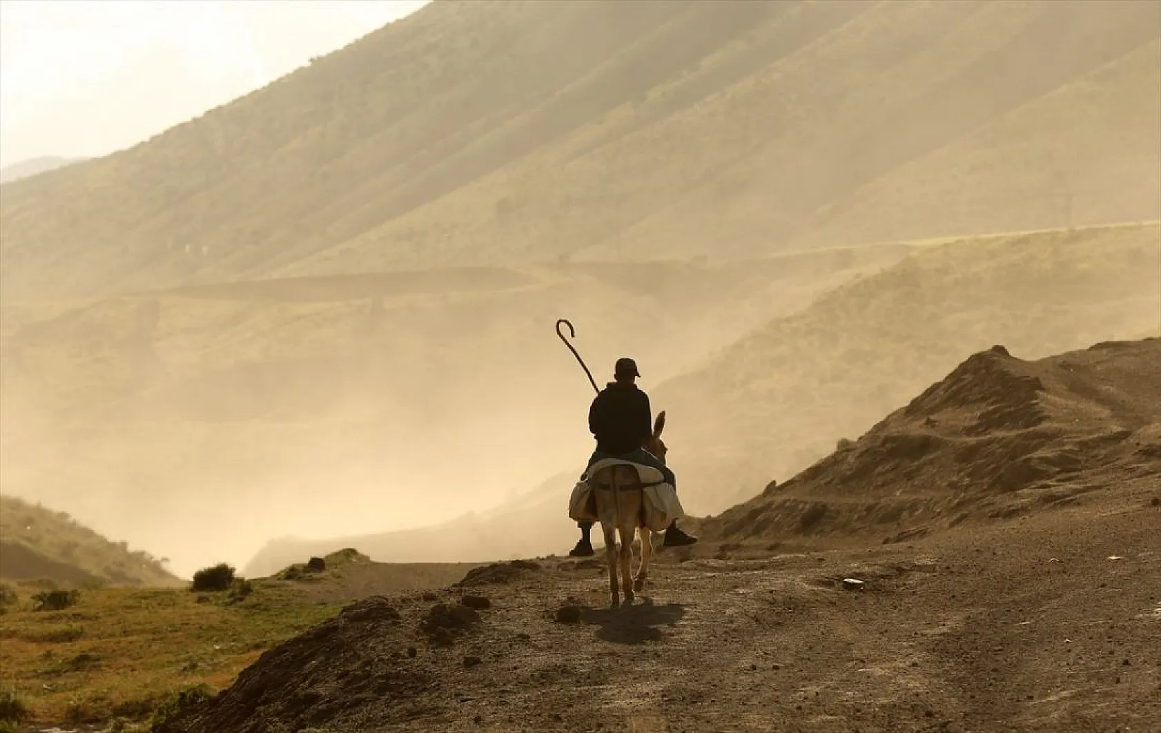 Sürülerin tozlu yolculuğu