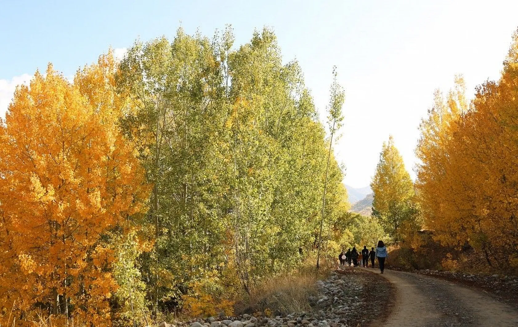 Tunceli'de sonbaharla gelen 'Renk Cümbüşü'