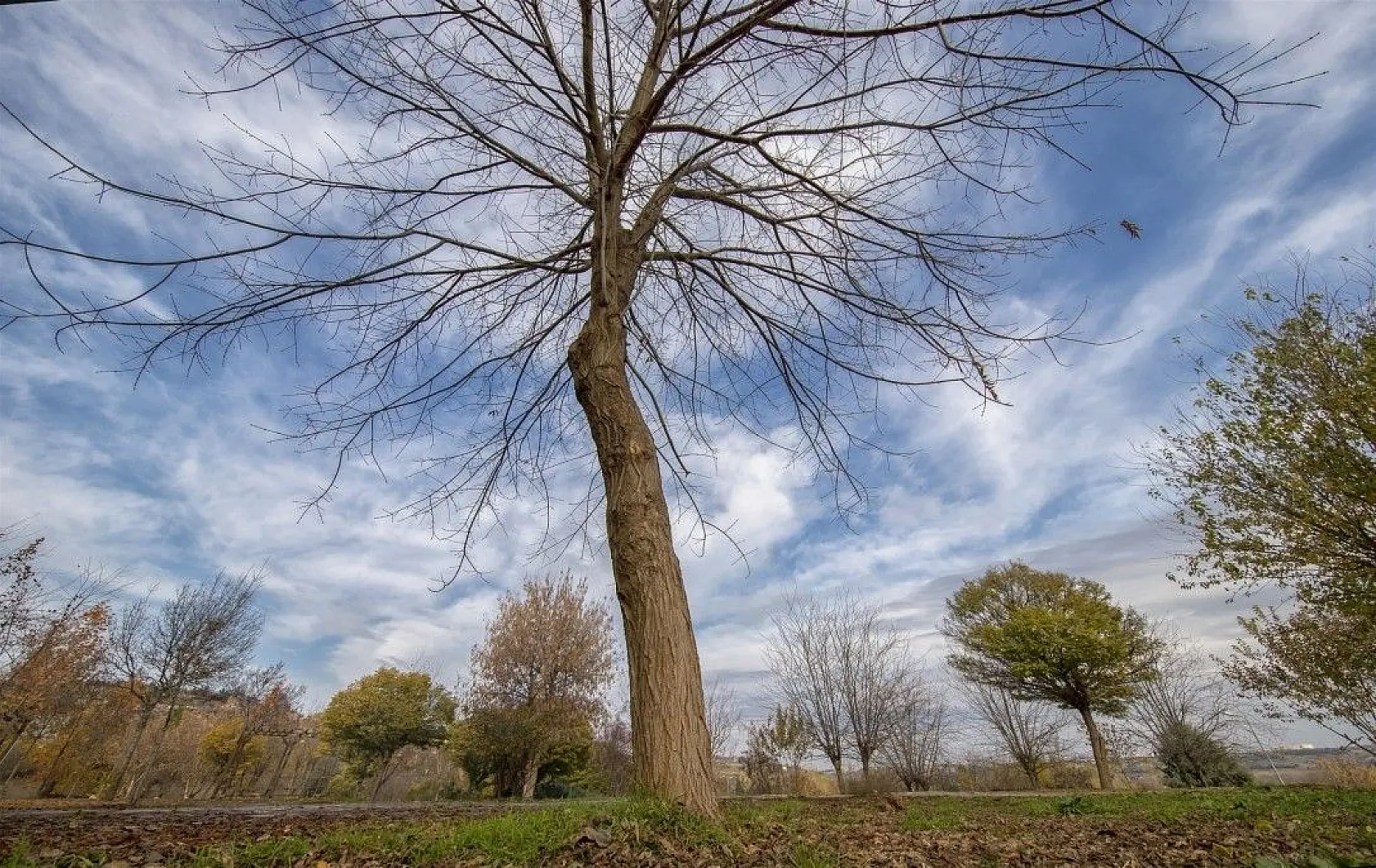 Diyarbakır'da renk cümbüşü