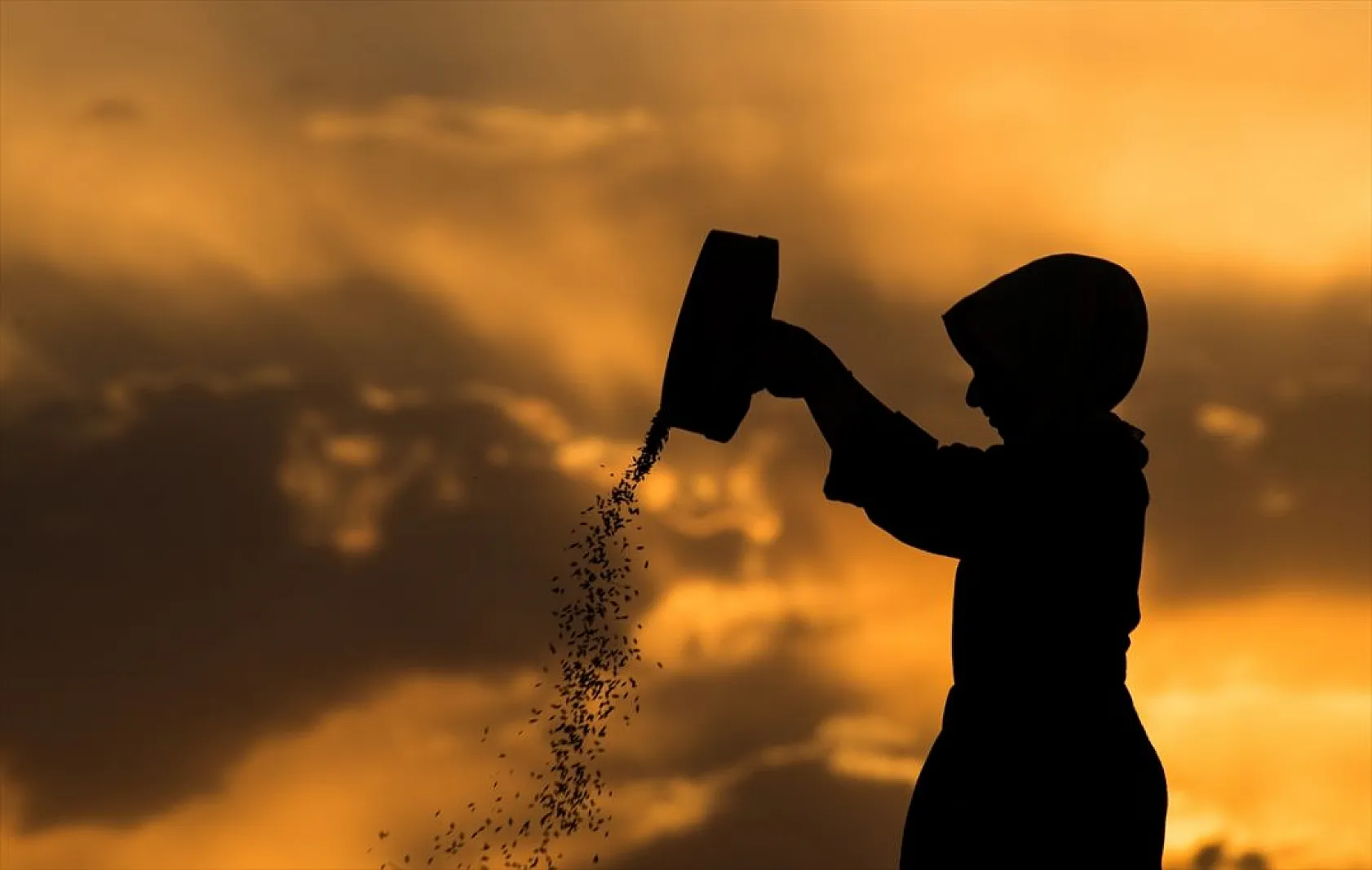 Karslı kadınlar rüzgara karşı 'tahıl savurma' mesaisinde