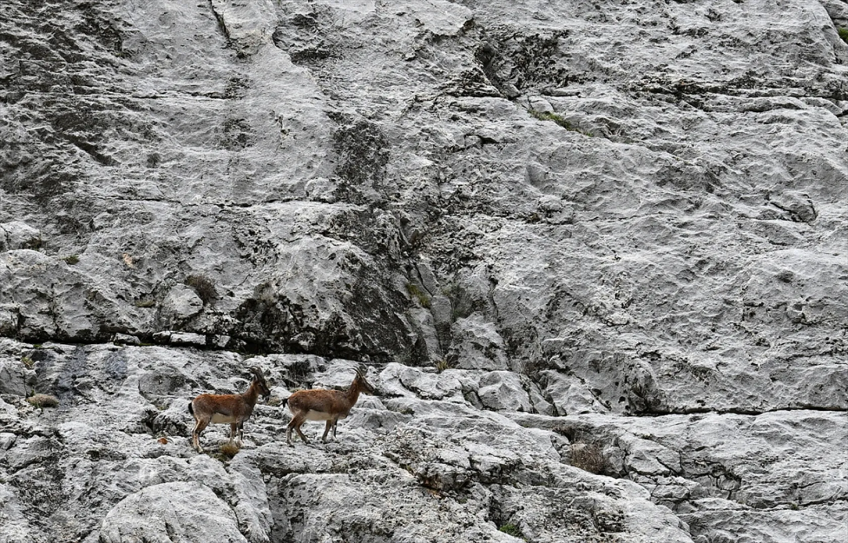 Karanlık Kanyonu ziyaretçilerini büyülüyor