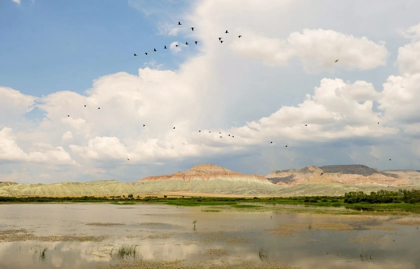 Nallıhan Kuş Cenneti'nde görsel şölen