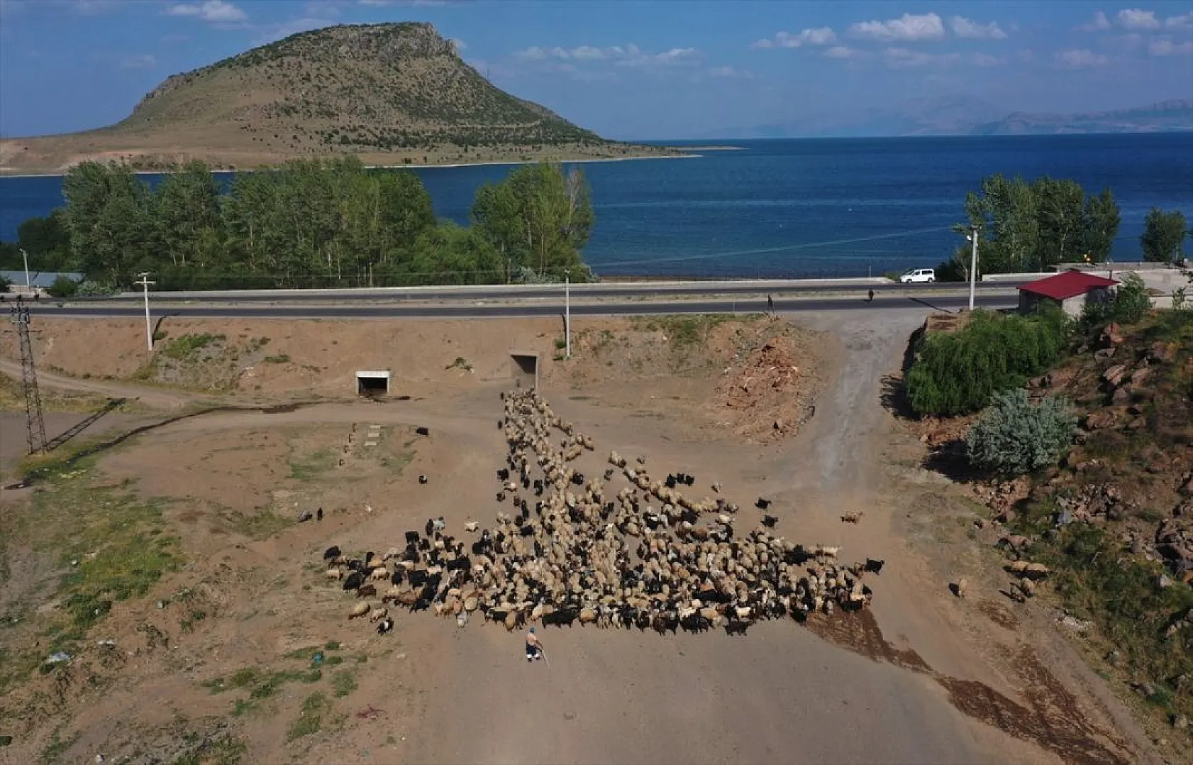 Sürülerin tozlu yolculuğu