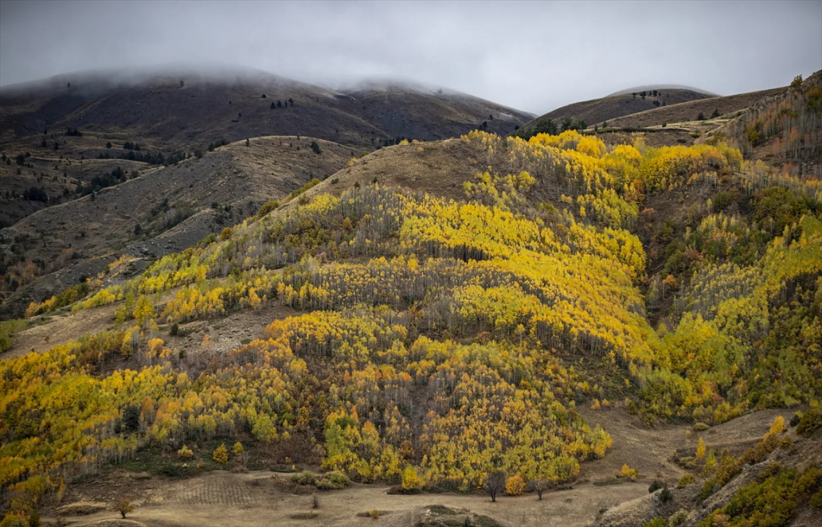 Kop Dağı'nda sonbahar