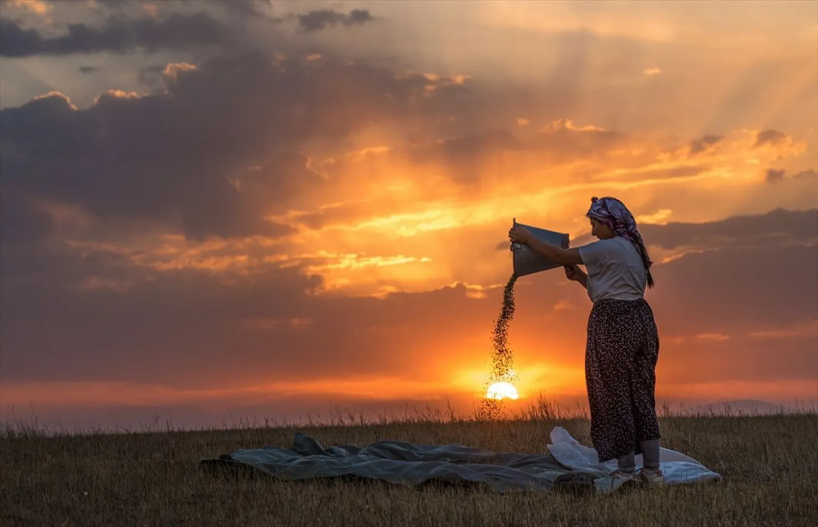 Karslı kadınlar rüzgara karşı 'tahıl savurma' mesaisinde