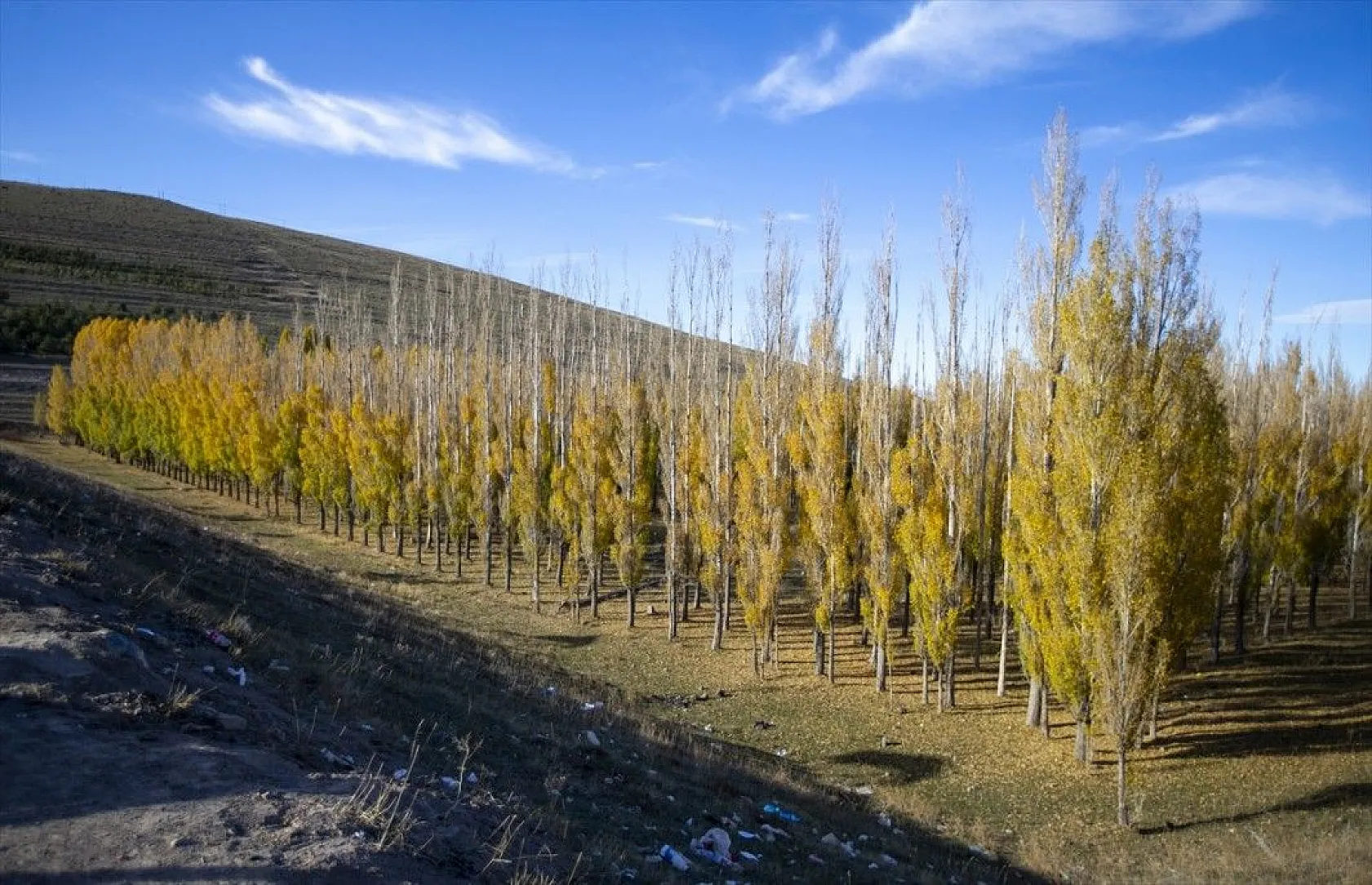 Erzurum'un meşhur Tekederesi mesire alanı sonbahar renklerine büründü