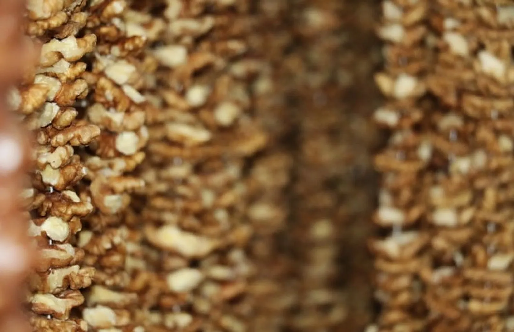 'Orcik' yoğun talep görüyor