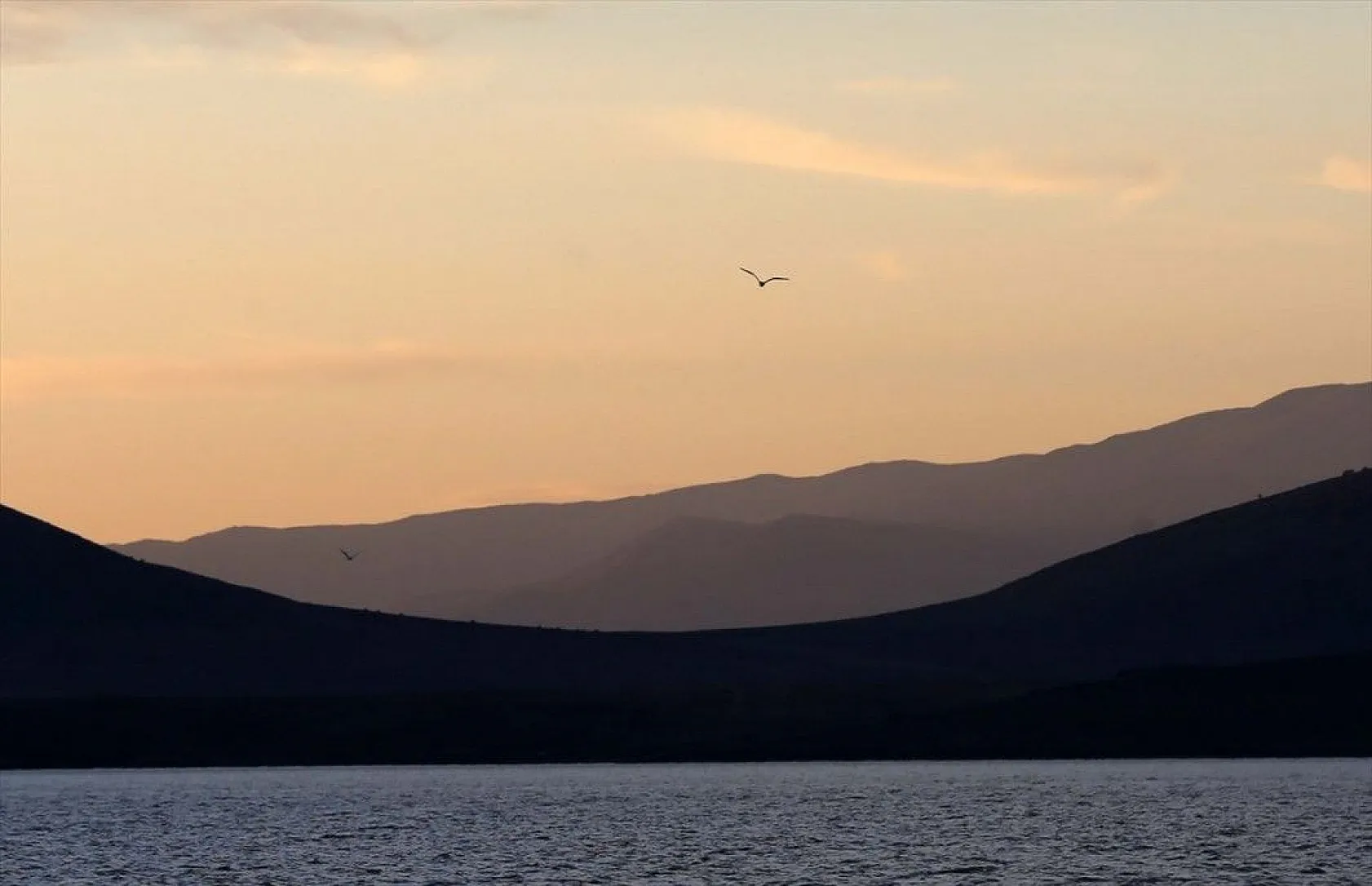 Muş Ovası'ndaki binlerce kuşun göçü kayıt altına alındı