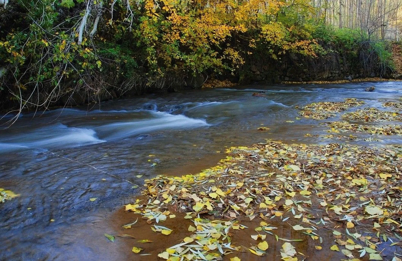 Ahlat'ta seyrine doyumsuz sonbahar manzaraları